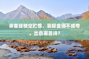 谢客琼枝空贮恨，袁郎金钿不成夸。出自哪首诗？