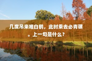 几度吊来唯白鹤，此时乘去必青骡。上一句是什么？