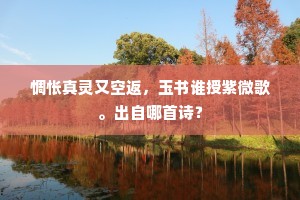 惆怅真灵又空返，玉书谁授紫微歌。出自哪首诗？