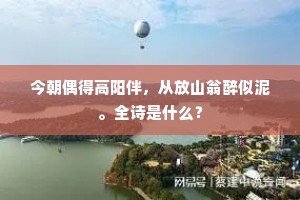 今朝偶得高阳伴，从放山翁醉似泥。全诗是什么？