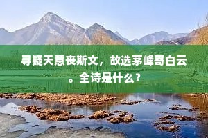 寻疑天意丧斯文，故选茅峰寄白云。全诗是什么？