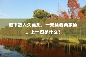 城下故人久离怨，一欢适我两家愿。上一句是什么？