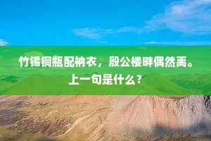 竹锡铜瓶配衲衣，殷公楼畔偶然离。上一句是什么？