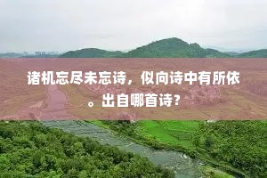 诸机忘尽未忘诗，似向诗中有所依。出自哪首诗？