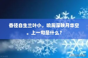 香径自生兰叶小，响廊深映月华空。上一句是什么？