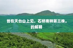 曾在天台山上见，石桥南畔第三株。的解释