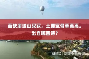 面缺崩城山寂寂，土埋冤骨草离离。出自哪首诗？