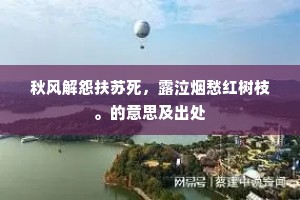 秋风解怨扶苏死，露泣烟愁红树枝。的意思及出处