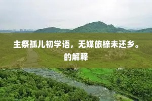 主祭孤儿初学语，无媒旅榇未还乡。的解释