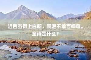 迟回虽得上白舫，羁泄不敢言绿尊。全诗是什么？