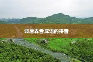 调唇弄舌成语的拼音