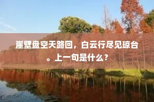 崖壁盘空天路回，白云行尽见琼台。上一句是什么？
