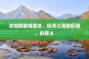 欲知肠断相思处，役尽江淹别后魂。的释义