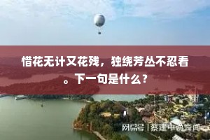 惜花无计又花残，独绕芳丛不忍看。下一句是什么？