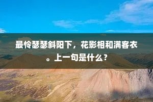 最怜瑟瑟斜阳下，花影相和满客衣。上一句是什么？