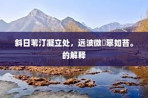 斜日苇汀凝立处，远波微飏翠如苔。的解释