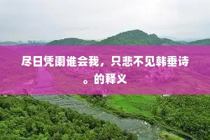 尽日凭阑谁会我，只悲不见韩垂诗。的释义