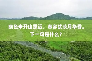 晓色未开山意远，春容犹淡月华昏。下一句是什么？
