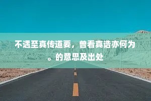 不遇至真传道要，曾看真诰亦何为。的意思及出处