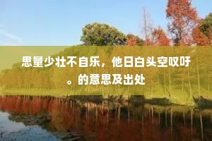 思量少壮不自乐，他日白头空叹吁。的意思及出处