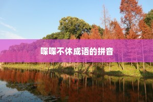 喋喋不休成语的拼音