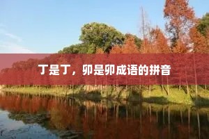 丁是丁，卯是卯成语的拼音