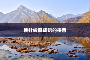 顶针续麻成语的拼音