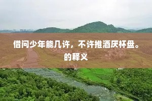 借问少年能几许，不许推酒厌杯盘。的释义