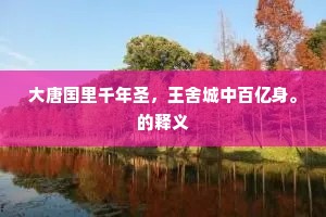 大唐国里千年圣，王舍城中百亿身。的释义