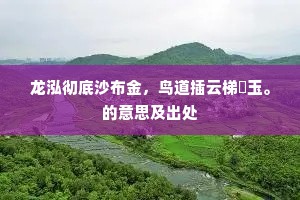 龙泓彻底沙布金，鸟道插云梯甃玉。的意思及出处