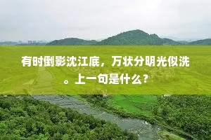 有时倒影沈江底，万状分明光似洗。上一句是什么？