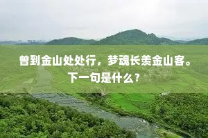 曾到金山处处行，梦魂长羡金山客。下一句是什么？