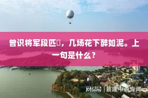 曾识将军段匹磾，几场花下醉如泥。上一句是什么？