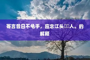 寄言昔日不龟手，应念江头洴澼人。的解释
