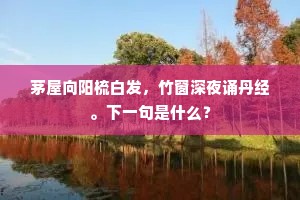 茅屋向阳梳白发，竹窗深夜诵丹经。下一句是什么？
