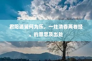 君阳遁叟何为乐，一炷清香两卷经。的意思及出处