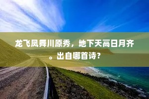 龙飞凤舞川原秀，地下天高日月齐。出自哪首诗？