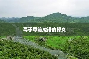 毒手尊前成语的释义