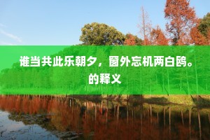 谁当共此乐朝夕，窗外忘机两白鸥。的释义