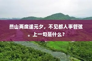 燕山两度逢元夕，不见都人事管弦。上一句是什么？