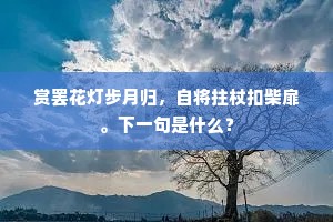 赏罢花灯步月归，自将拄杖扣柴扉。下一句是什么？