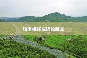 独出机杼成语的释义