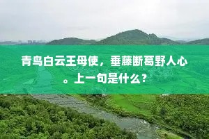 青鸟白云王母使，垂藤断葛野人心。上一句是什么？