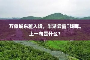 万象城东雅入诗，半湖云霭捲残晖。上一句是什么？