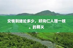 交情别绪论多少，好向仁人赠一枝。的释义