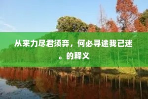 从来力尽君须弃，何必寻途我已迷。的释义