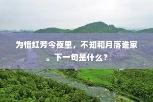 为惜红芳今夜里，不知和月落谁家。下一句是什么？