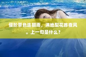 侵阶草色连朝雨，满地梨花昨夜风。上一句是什么？