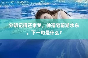 分明记得还家梦，徐孺宅前湖水东。下一句是什么？
