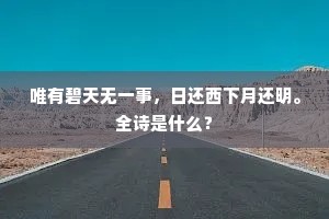 唯有碧天无一事，日还西下月还明。全诗是什么？